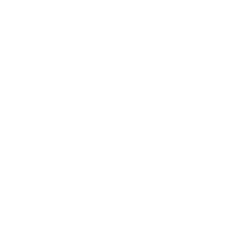 LensBros Logo